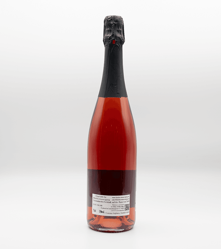Sektflasche mit schwarzem und rotem Etikett, verschlossen mit schwarzem Korken und Folie, steht aufrecht vor weißem Hintergrund.